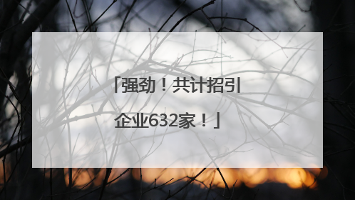 强劲！共计招引企业632家！