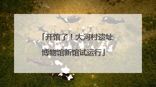 开馆了！大河村遗址博物馆新馆试运行