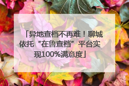 异地查档不再难！聊城依托“在鲁查档”平台实现100%满意度