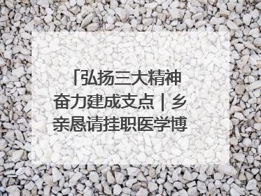弘扬三大精神 奋力建成支点｜乡亲恳请挂职医学博士再留一年