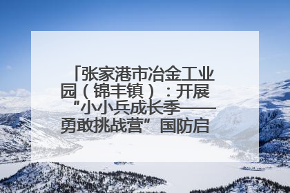 张家港市冶金工业园（锦丰镇）：开展“小小兵成长季——勇敢挑战营”国防启蒙教育活动