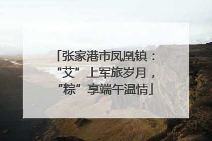 张家港市凤凰镇：“艾”上军旅岁月，“粽”享端午温情