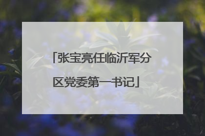 张宝亮任临沂军分区党委第一书记