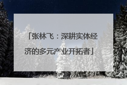 张林飞：深耕实体经济的多元产业开拓者