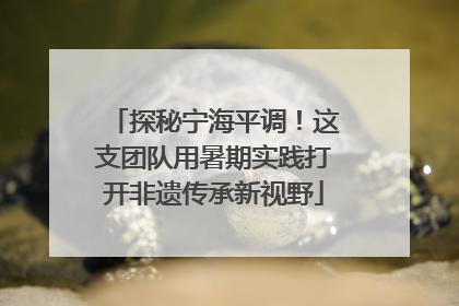 探秘宁海平调！这支团队用暑期实践打开非遗传承新视野