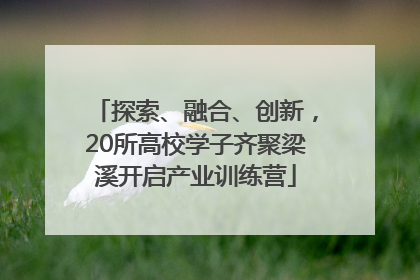 探索、融合、创新，20所高校学子齐聚梁溪开启产业训练营
