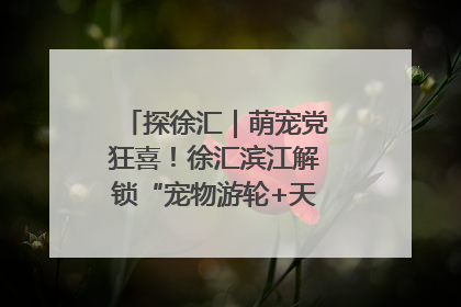 探徐汇｜萌宠党狂喜！徐汇滨江解锁“宠物游轮+天台乐园”双玩法
