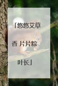 悠悠艾草香 片片粽叶长
