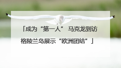 成为“第一人” 马克龙到访格陵兰岛展示“欧洲团结”