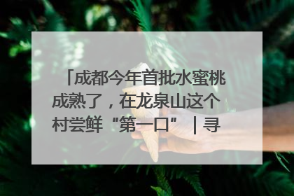 成都今年首批水蜜桃成熟了，在龙泉山这个村尝鲜“第一口”｜寻找和美乡村推荐官