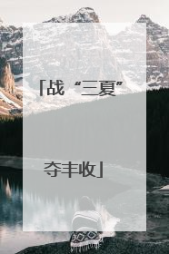 战“三夏” 夺丰收