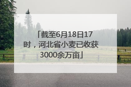 截至6月18日17时，河北省小麦已收获3000余万亩