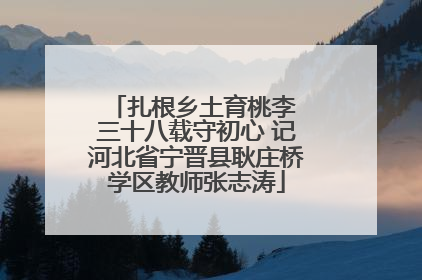 扎根乡土育桃李 三十八载守初心 记河北省宁晋县耿庄桥学区教师张志涛
