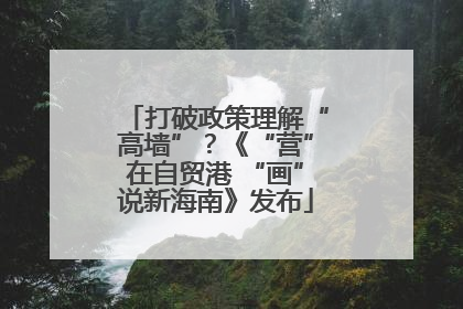 打破政策理解“高墙”？《“营”在自贸港 “画”说新海南》发布