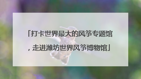 打卡世界最大的风筝专题馆，走进潍坊世界风筝博物馆