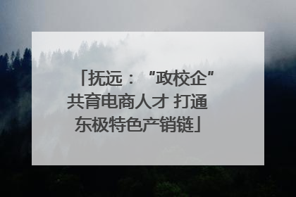 抚远：“政校企”共育电商人才 打通东极特色产销链