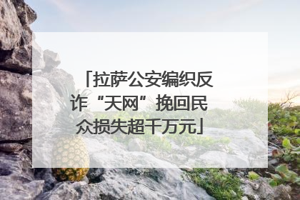 拉萨公安编织反诈“天网”挽回民众损失超千万元