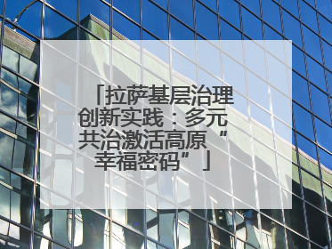 拉萨基层治理创新实践：多元共治激活高原“幸福密码”