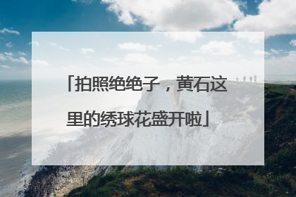 拍照绝绝子，黄石这里的绣球花盛开啦