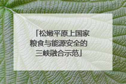 松嫩平原上国家粮食与能源安全的三峡融合示范