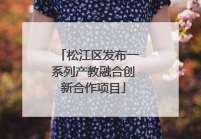 松江区发布一系列产教融合创新合作项目