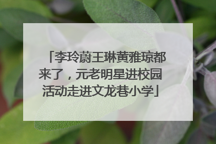 李玲蔚王琳黄雅琼都来了，元老明星进校园活动走进文龙巷小学
