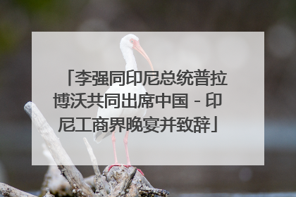 李强同印尼总统普拉博沃共同出席中国－印尼工商界晚宴并致辞