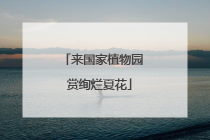 来国家植物园 赏绚烂夏花