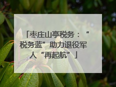 枣庄山亭税务：“税务蓝”助力退役军人“再起航”
