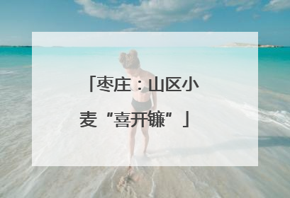枣庄：山区小麦“喜开镰”