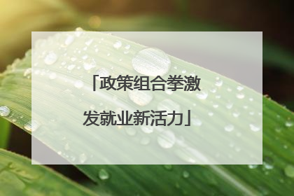 政策组合拳激发就业新活力