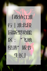 政协江淮行｜淮北段园新型功能区：“飞地经济”拔节生长