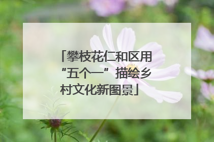 攀枝花仁和区用“五个一”描绘乡村文化新图景