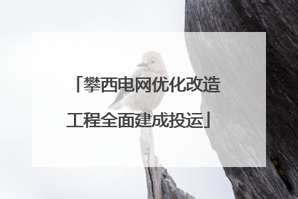 攀西电网优化改造工程全面建成投运