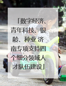 数字经济、青年科技、银龄、种业 济南专项支持四个细分领域人才队伍建设