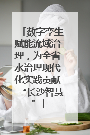 数字孪生赋能流域治理，为全省水治理现代化实践贡献“长沙智慧”