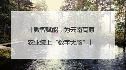 数智赋能，为云南高原农业装上“数字大脑”