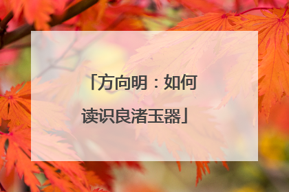 方向明：如何读识良渚玉器