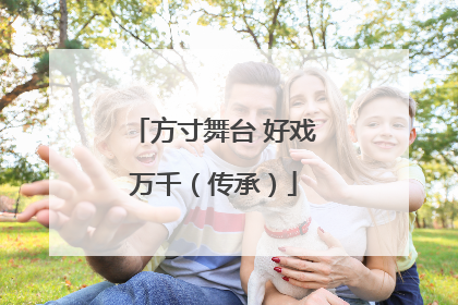 方寸舞台 好戏万千（传承）