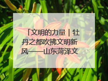 文明的力量｜牡丹之都吹拂文明新风——山东菏泽文明创建一线见闻