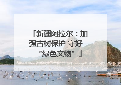 新疆阿拉尔：加强古树保护 守好“绿色文物”