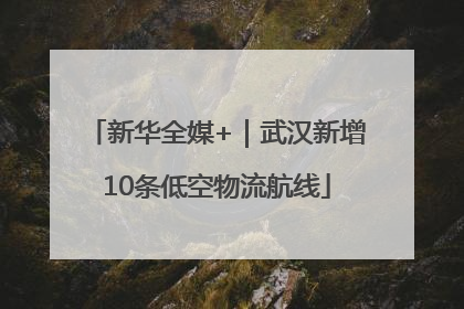新华全媒+｜武汉新增10条低空物流航线