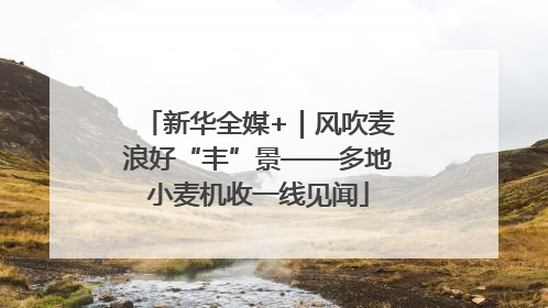 新华全媒+｜风吹麦浪好“丰”景——多地小麦机收一线见闻