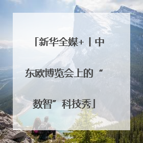 新华全媒+丨中东欧博览会上的“数智”科技秀