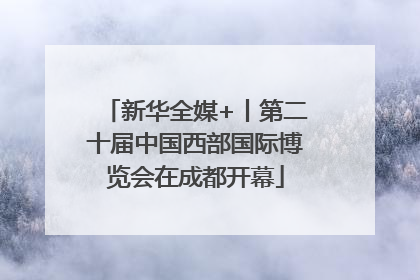 新华全媒+丨第二十届中国西部国际博览会在成都开幕