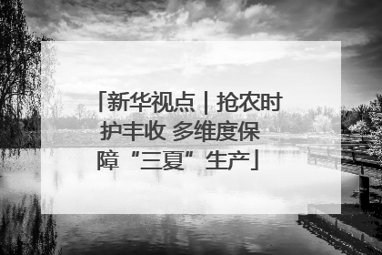 新华视点｜抢农时 护丰收 多维度保障“三夏”生产