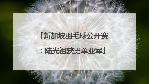 新加坡羽毛球公开赛：陆光祖获男单亚军