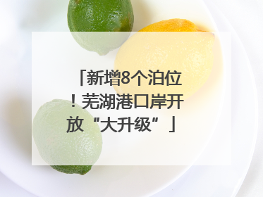 新增8个泊位！芜湖港口岸开放“大升级”