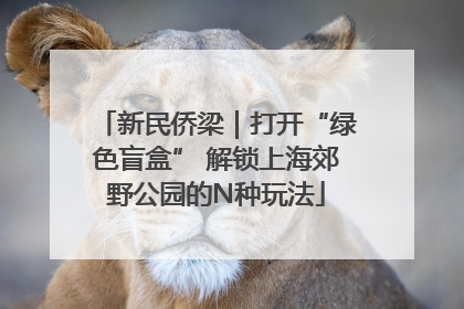 新民侨梁｜打开“绿色盲盒” 解锁上海郊野公园的N种玩法