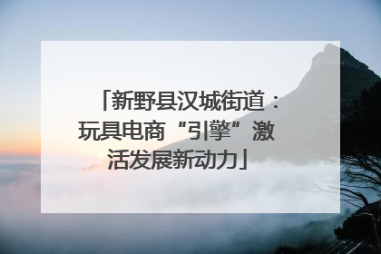 新野县汉城街道：玩具电商“引擎”激活发展新动力